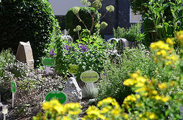 Hotel & Restaurant Kräutergarten - Herbs garden